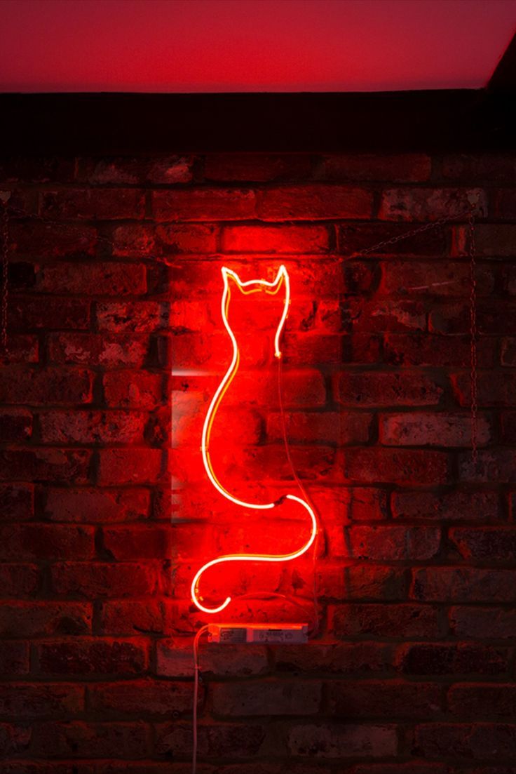 Neon cat-shaped light on a brick wall with a red glow